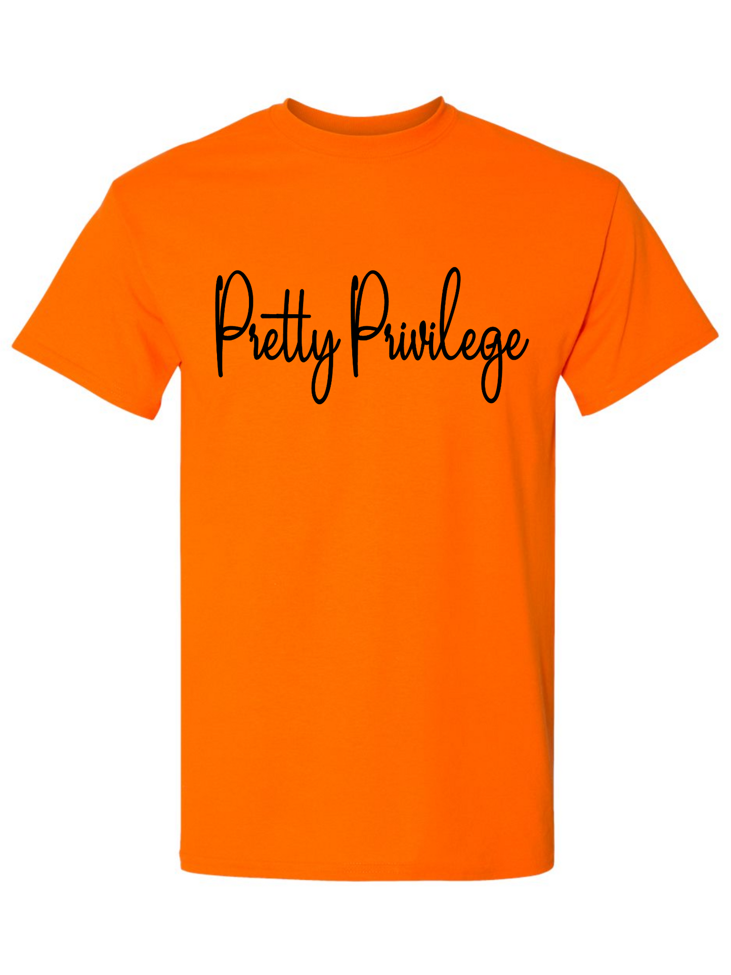 Pretty Privilege Classic Tee
