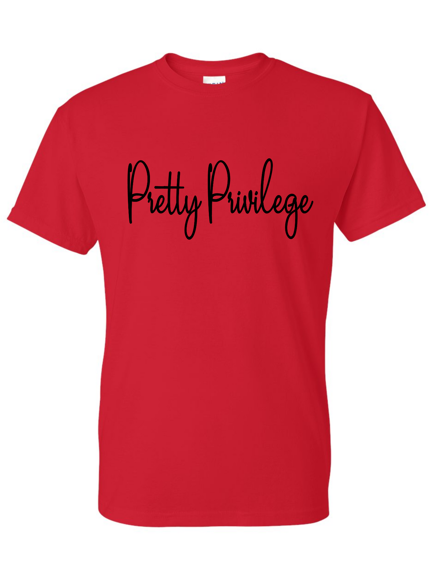 Pretty Privilege Classic Tee